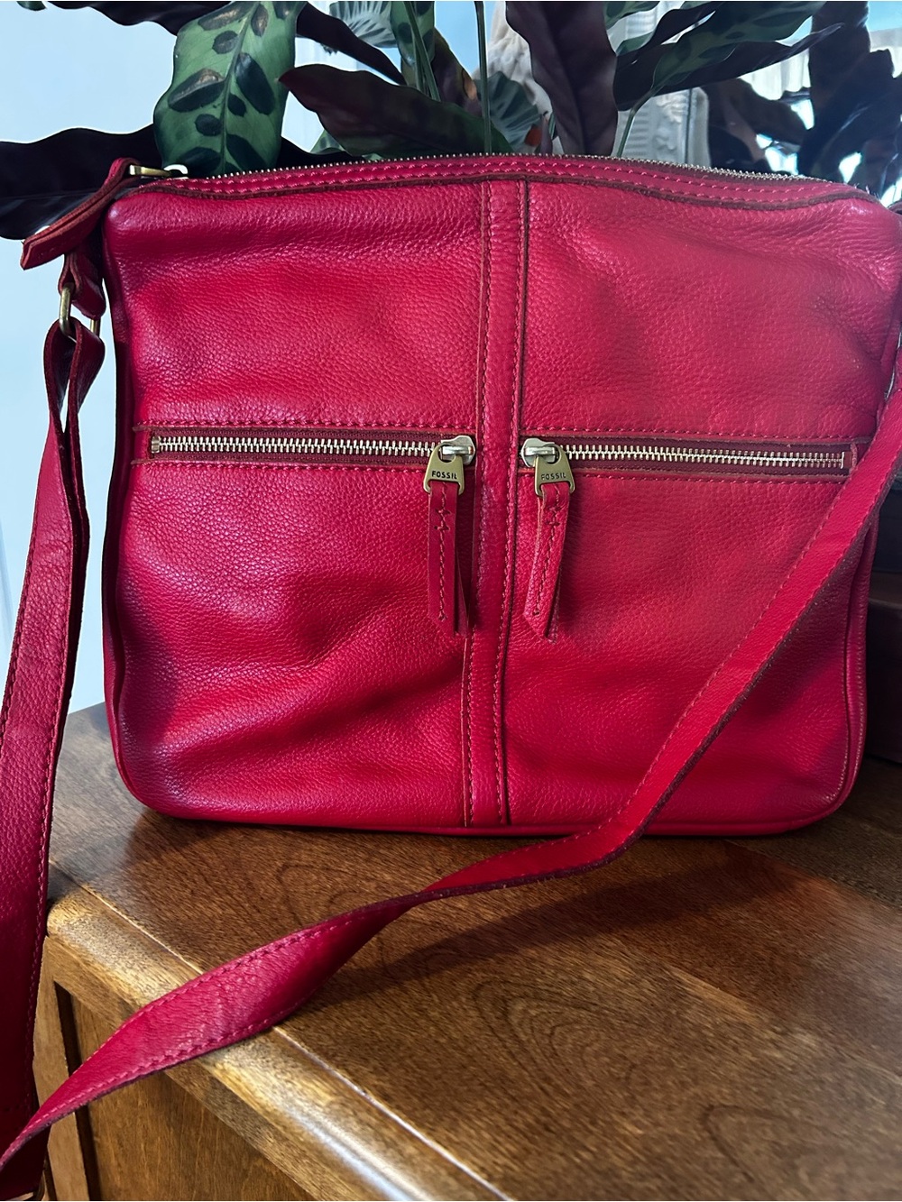Fossil Erin Crossbody Bag in Genuine Red Leather